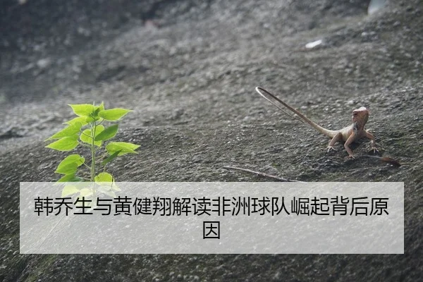 韩乔生与黄健翔解读非洲球队崛起背后原因